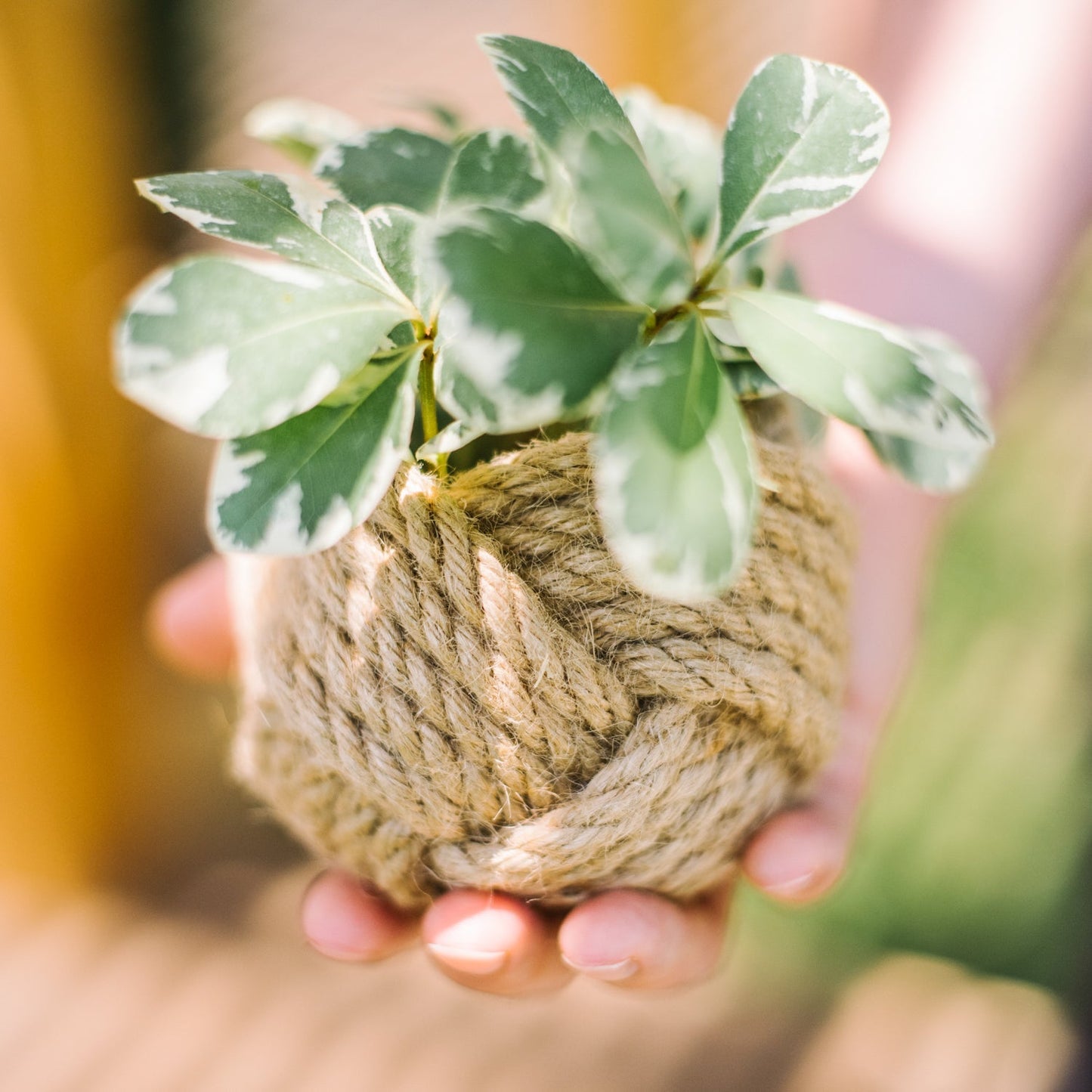 Mini Planter Jute