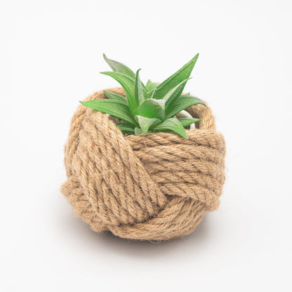 Mini Planter Jute