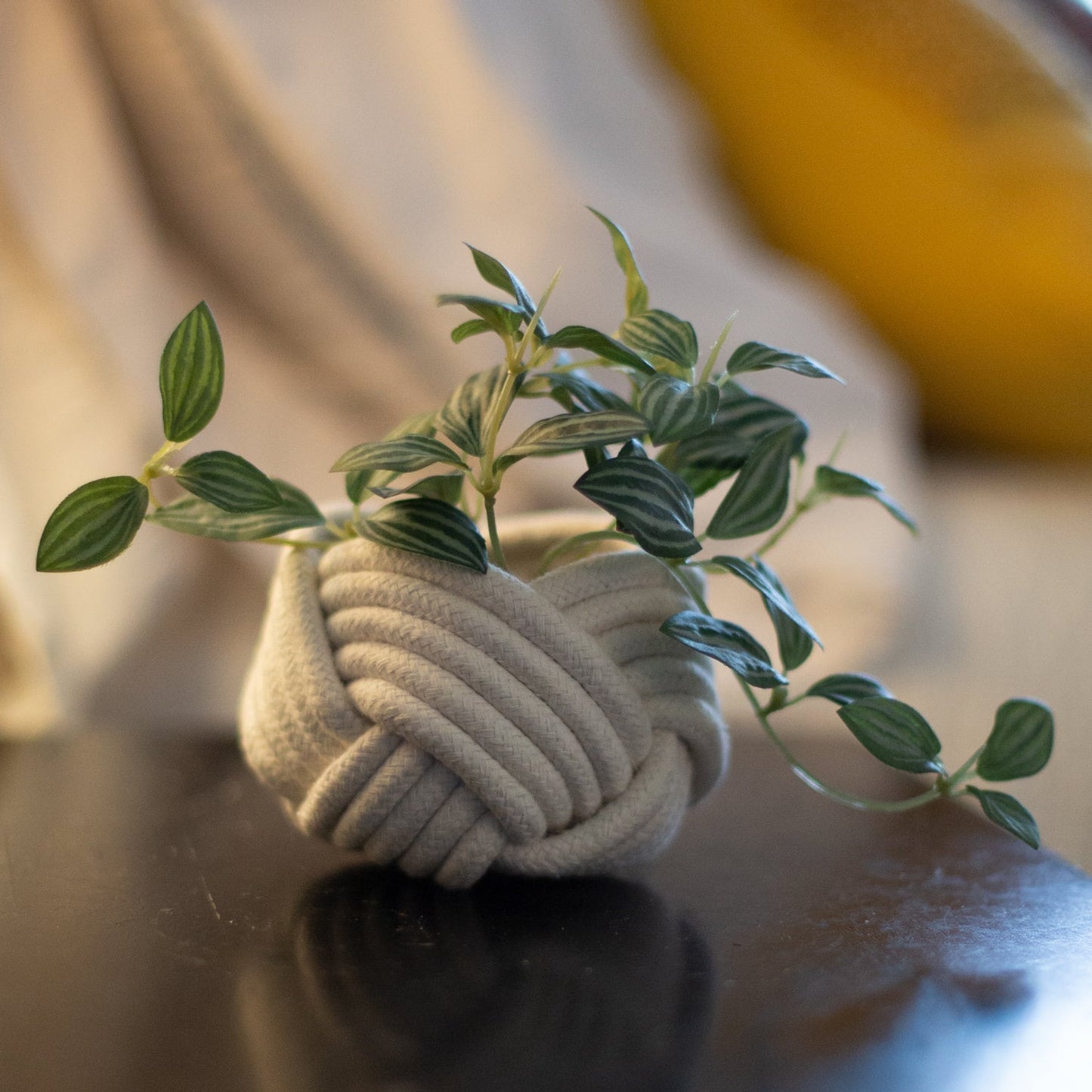 Mini Planter White