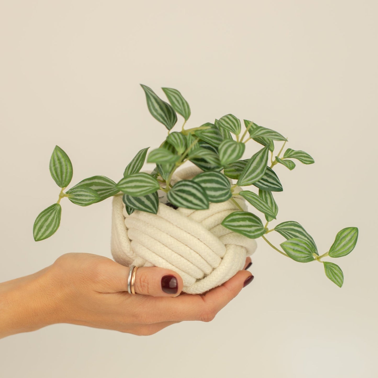Mini Planter White